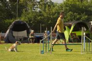 IMG_7741-1