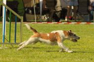 IMG_7743-1