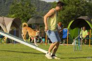 IMG_7774