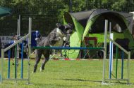 IMG_7849