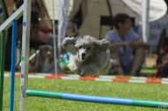 IMG_7955