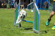 IMG_7966