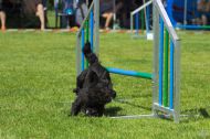 IMG_7974