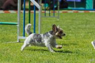 IMG_7981
