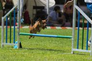 IMG_7987