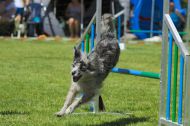 IMG_7995