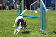 IMG_8003