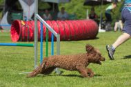 IMG_8013