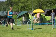 IMG_8019