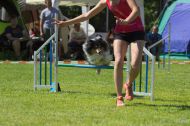 IMG_8022