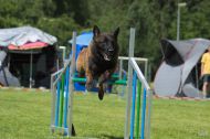 IMG_8065