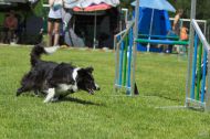 IMG_8072