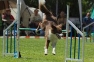 IMG_8078