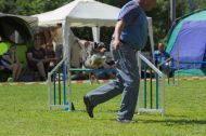 IMG_8153