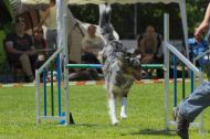 IMG_8154