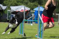 IMG_8161