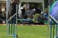 IMG_8181