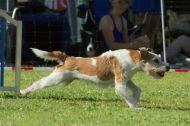 IMG_8248