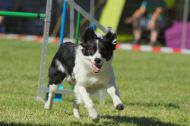 IMG_8291