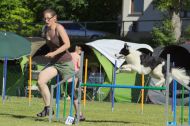 IMG_8293