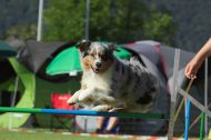 IMG_8310