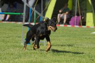 IMG_8320