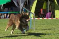 IMG_8340