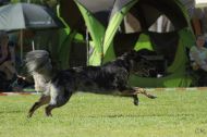 IMG_8347