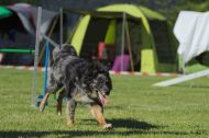 IMG_8350