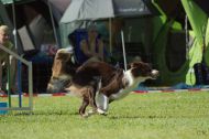 IMG_8352