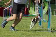 IMG_8360