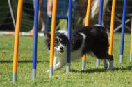IMG_8428