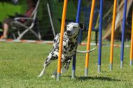 IMG_8448