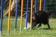 IMG_8465