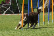 IMG_8501