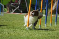 IMG_8509