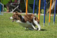 IMG_8510
