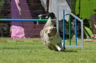 IMG_8527
