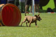 IMG_8552