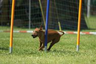 IMG_8557