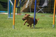IMG_8559