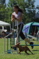 IMG_8563