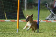 IMG_8566