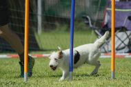 IMG_8601