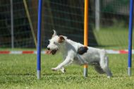 IMG_8603