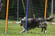 IMG_8637