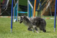 IMG_8639