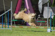 IMG_8654