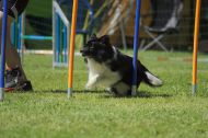 IMG_8670