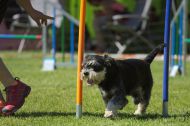 IMG_8677